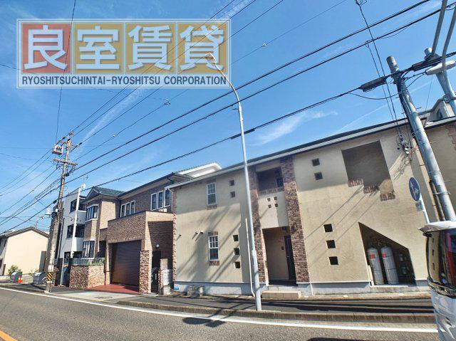 シャムロック桜