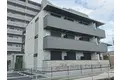 なでしこ