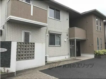 ディーグラフォートⅡ(2LDK/1階)の外観写真