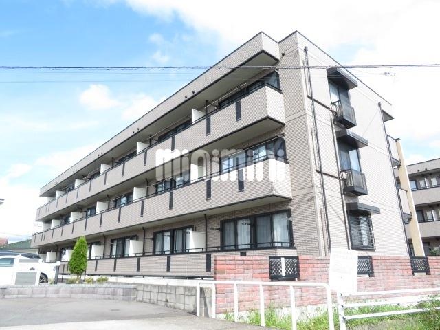 スクエアガーデンKAMAKURA C棟(1LDK/1階)