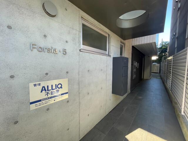 FORSIA 5