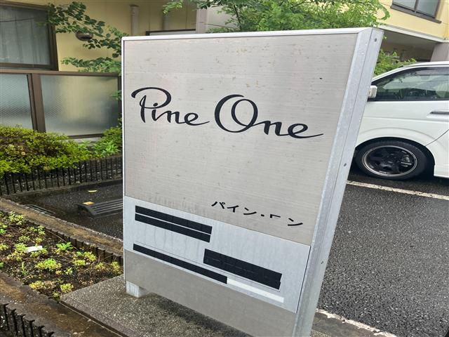 PINEONE