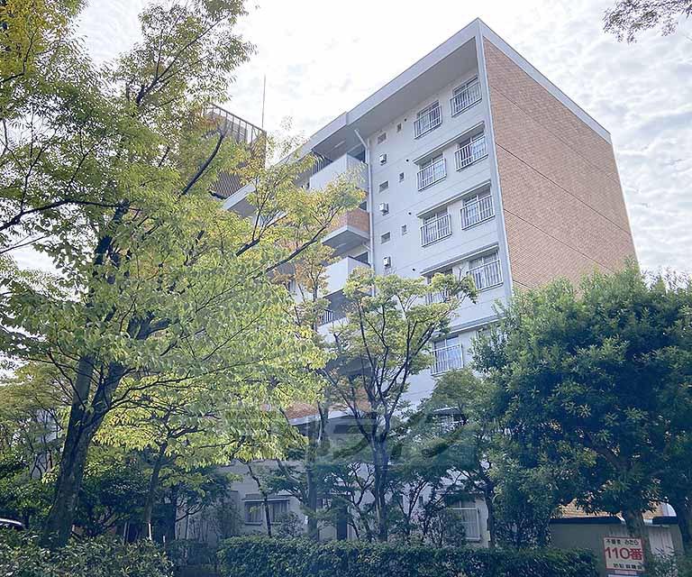 東大路高野第一1号棟(3DK/7階)