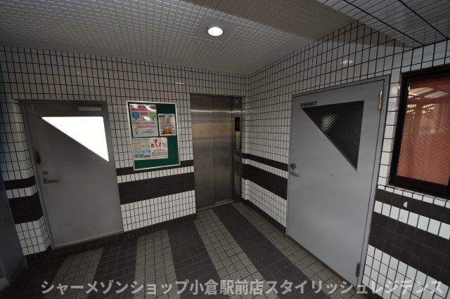ロイヤルビップ