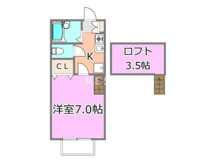 HOUSEWIKI・WIKI(1K/2階)の間取り写真