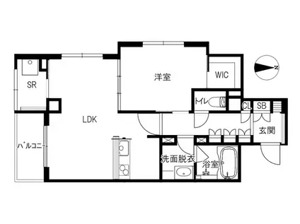 MAORI(1LDK/7階)の間取り写真