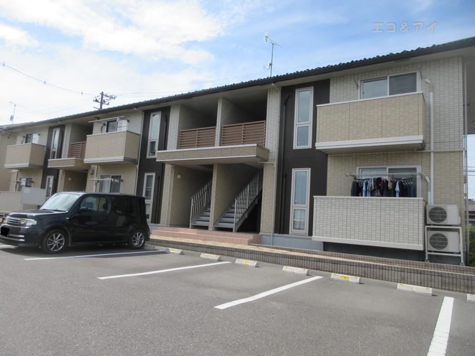 FLAT CIMA D