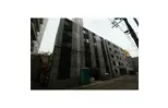 VIVACE413