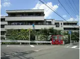 エターナルモーム