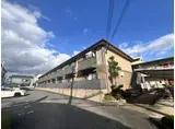 エクセル シオーネ