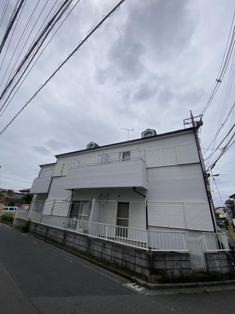 シュロス松之木