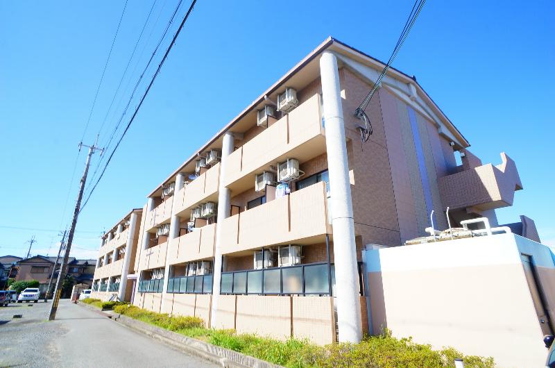 クローバー36