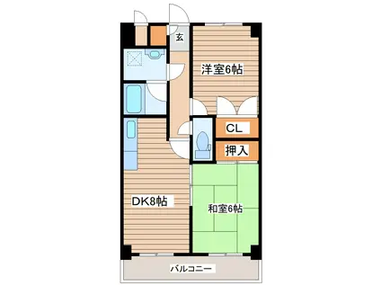 ベルシティ新富(2DK/2階)の間取り写真