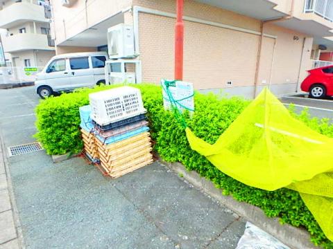 ハイタウン初生