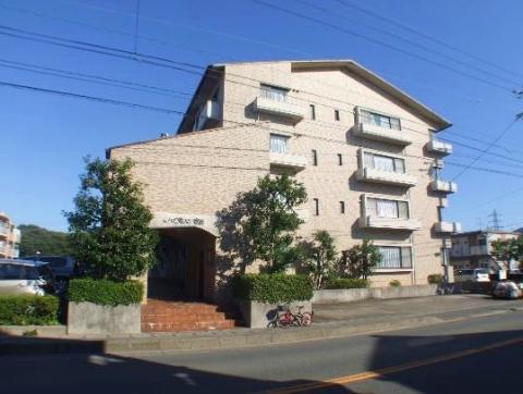 ハイタウン初生