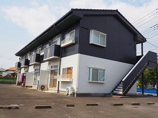 ニューシティーF