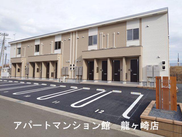 ブルーベリー