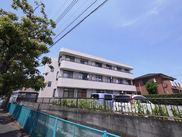 エクセルオグラ