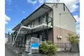 サングレイス
