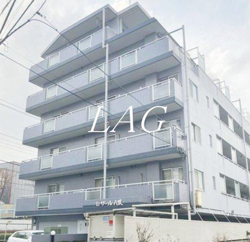 セザール八坂(3LDK/4階)