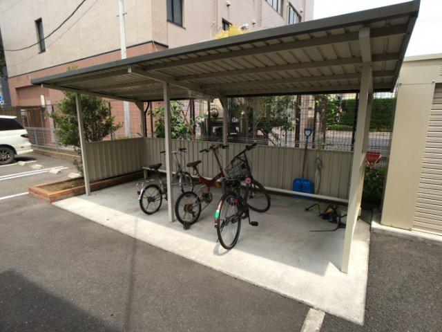 ミウ・ヴィエント