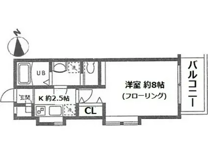 ラピスコート菊名(1K/2階)の間取り写真