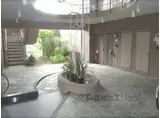 ハウスエバーグリーン