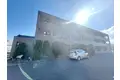 パシフィックフィールド