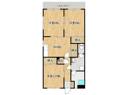 泉水田ハイツ(3DK/3階)の間取り写真