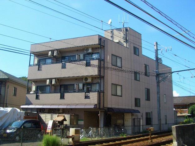 CASA III