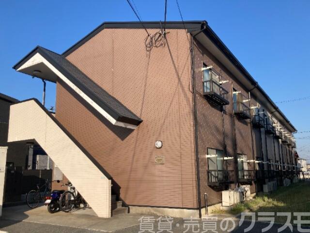アムールもみの木