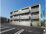 イン フローラ 大島