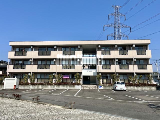 グレイス