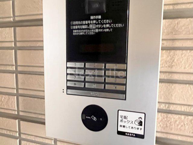 ベルチェドマーニ