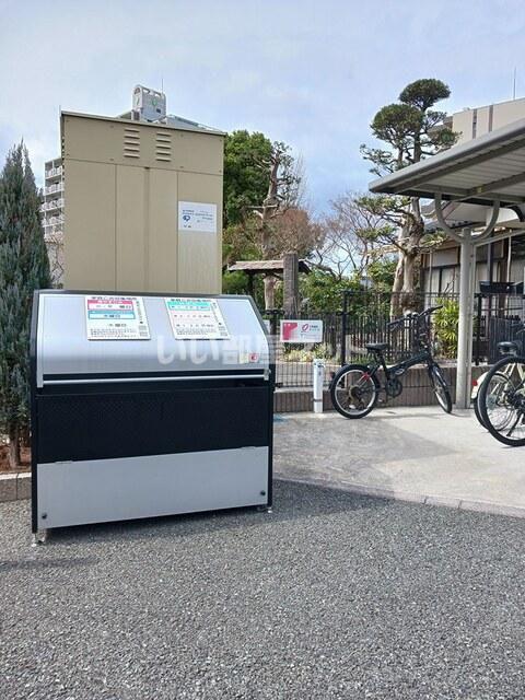 アルバカーサ