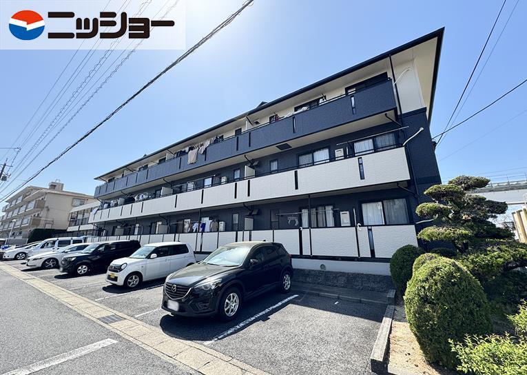 ドミール川本