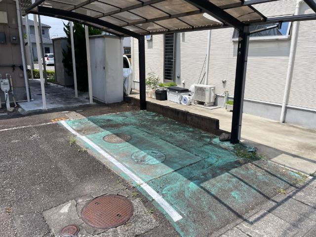 パナーシャル藤