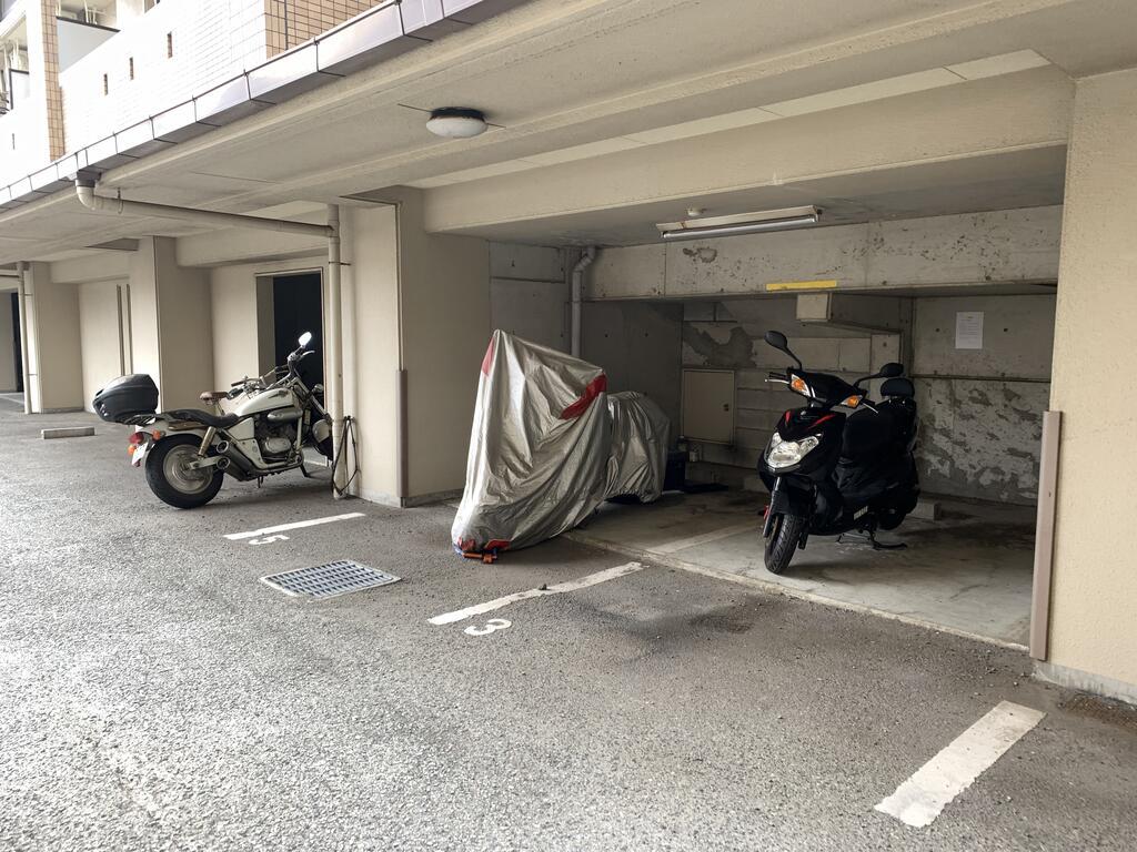 パレ・オーギ