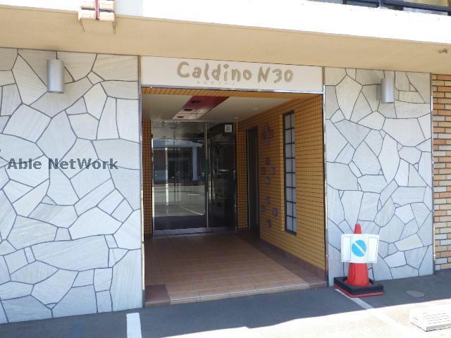 CALDINO N30 