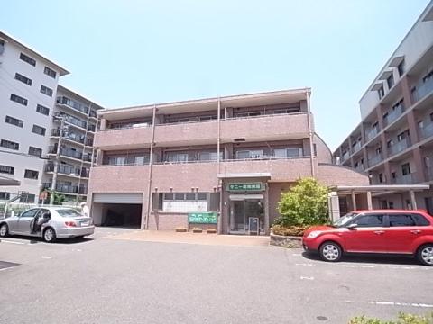 エルフォンテII