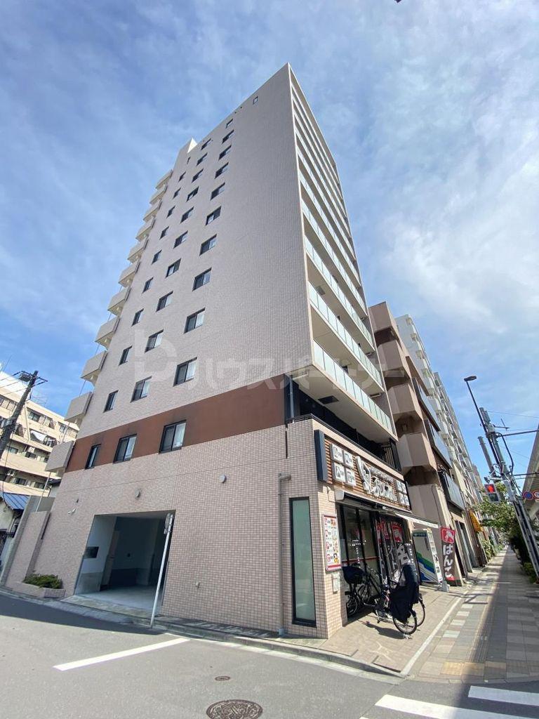 ステラ北進