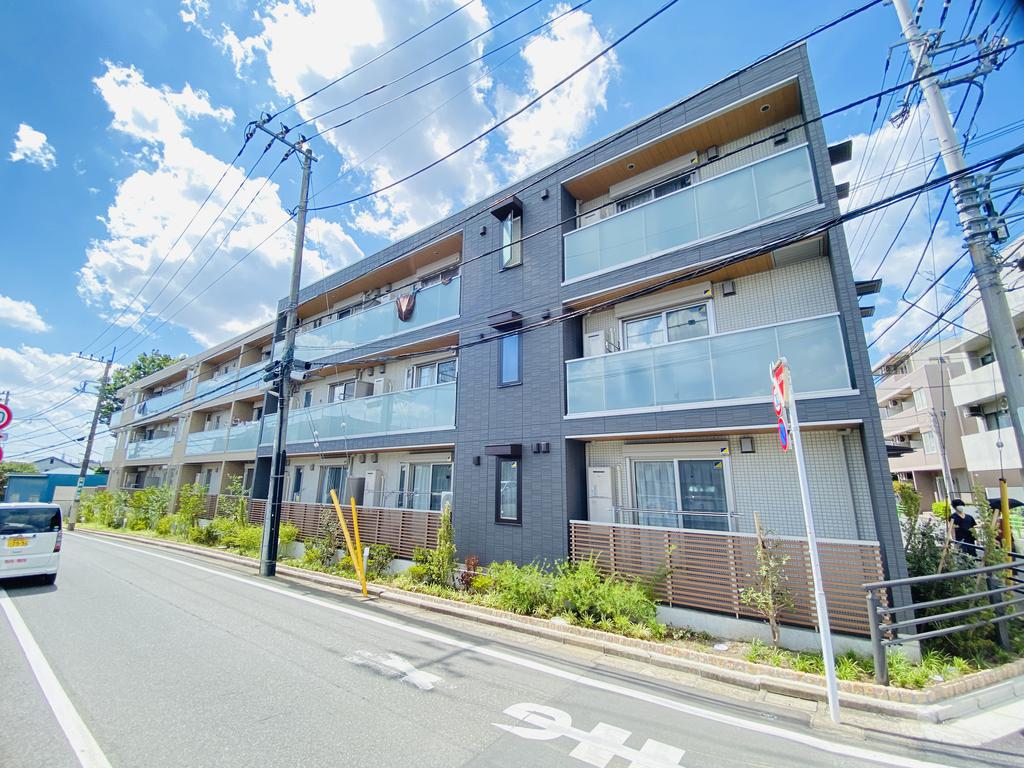 ステラ美光