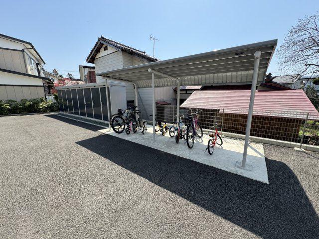 コートアルビレオB