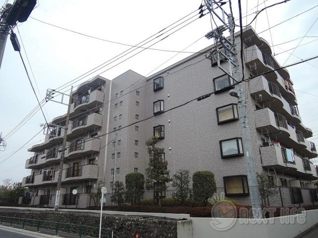 ペルミエール905