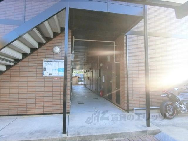 アンプルール・フラーリッシュ