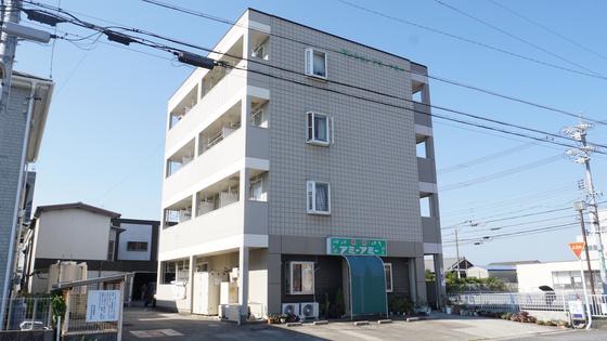 マンションアミーアミー