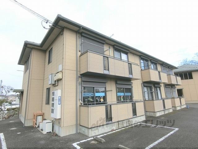 ラパトリア列花須
