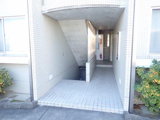 マストプラスII
