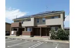 プリムローズ B