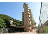 ペルル奥田